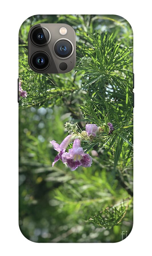 Desert Willow Whispers - Phone Case