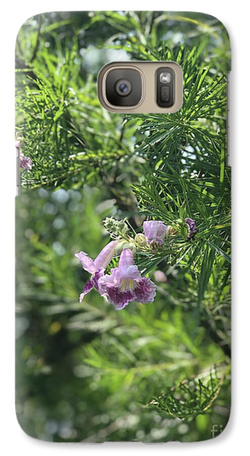 Desert Willow Whispers - Phone Case