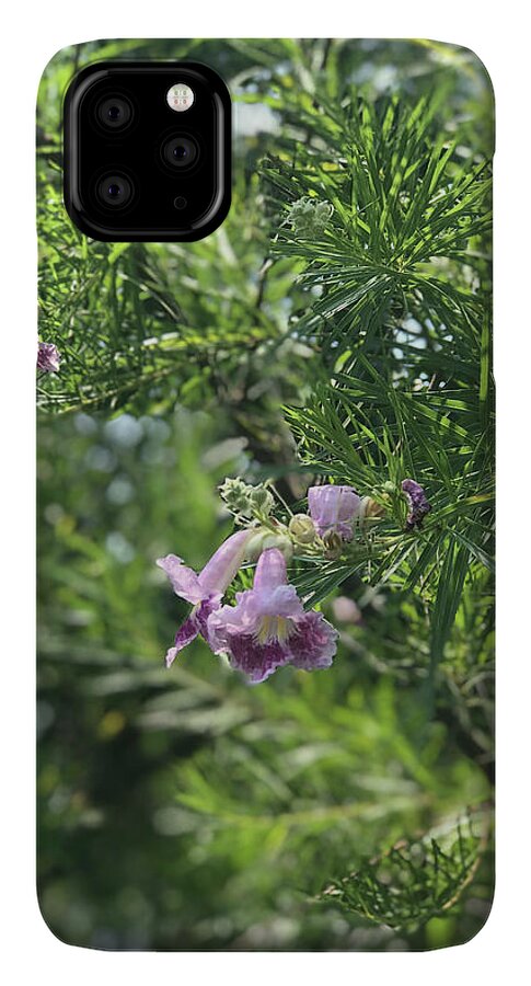 Desert Willow Whispers - Phone Case