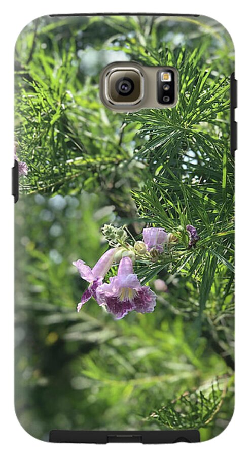 Desert Willow Whispers - Phone Case