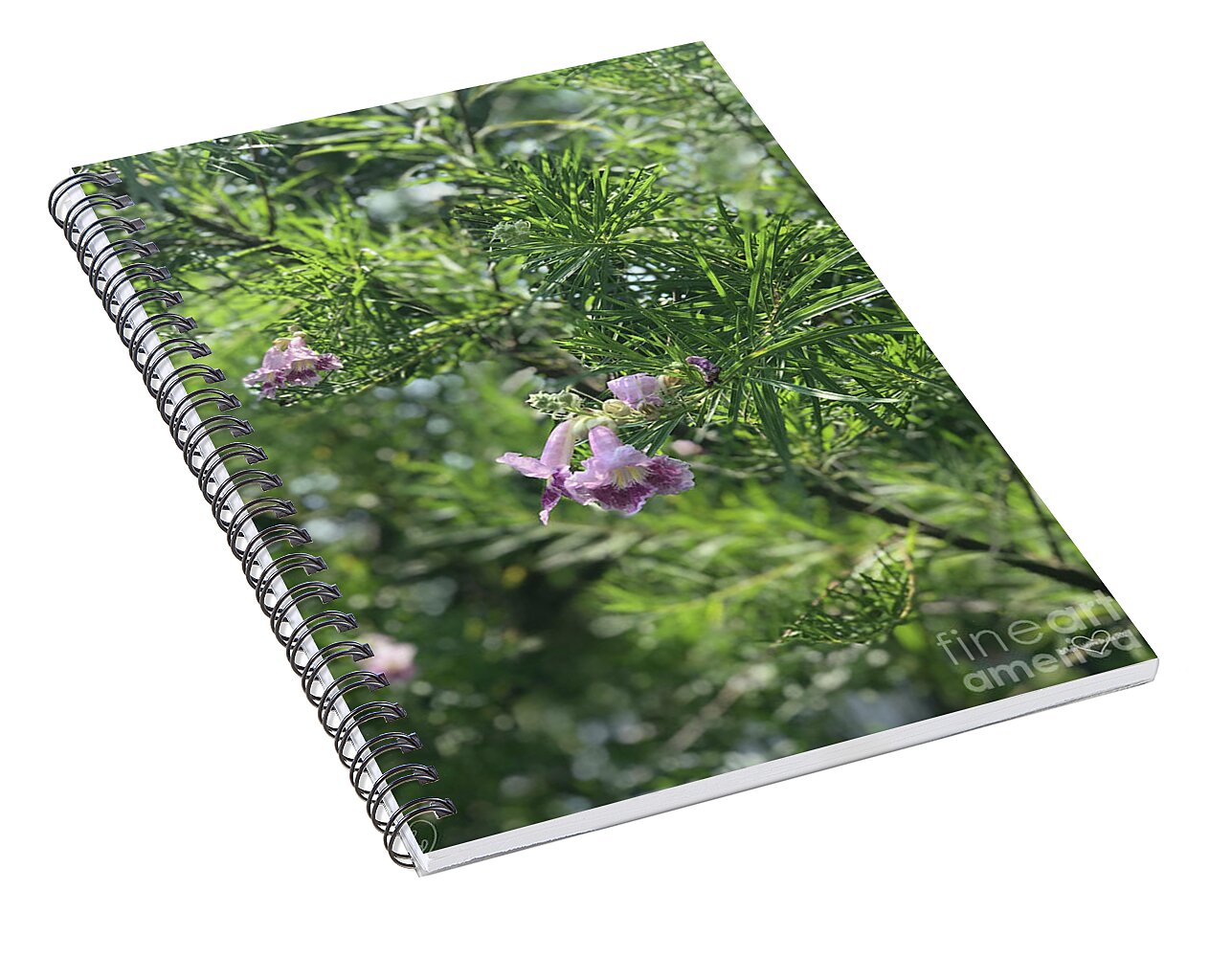 Desert Willow Whispers - Spiral Notebook