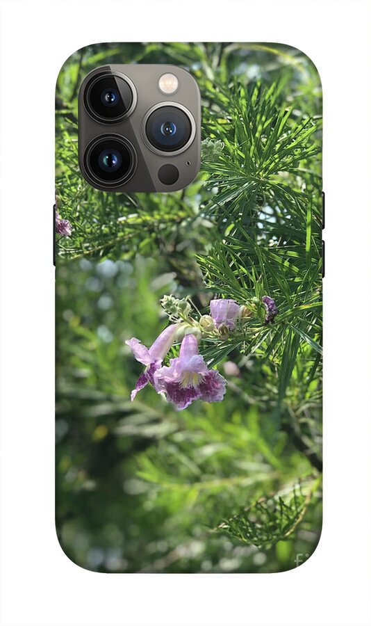 Desert Willow Whispers - Phone Case