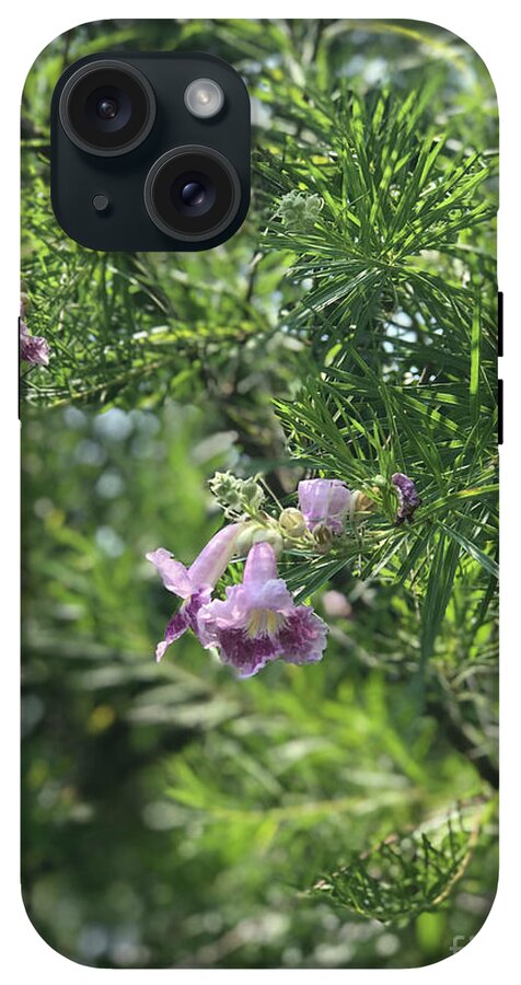 Desert Willow Whispers - Phone Case