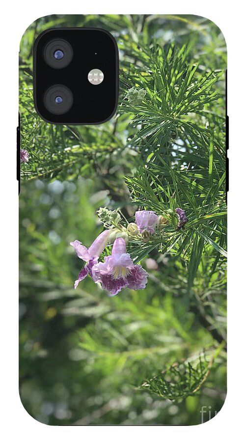 Desert Willow Whispers - Phone Case