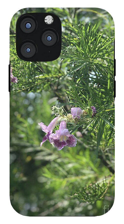 Desert Willow Whispers - Phone Case