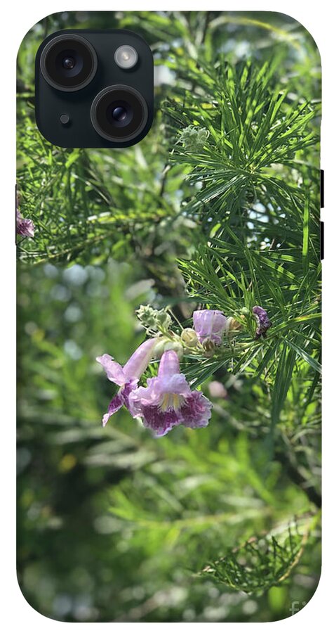 Desert Willow Whispers - Phone Case