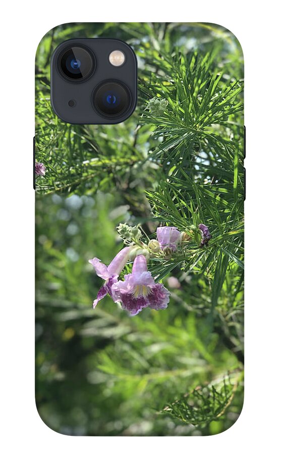 Desert Willow Whispers - Phone Case