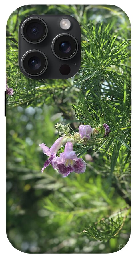 Desert Willow Whispers - Phone Case