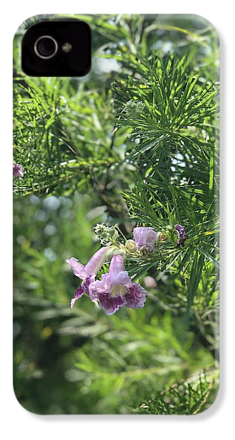 Desert Willow Whispers - Phone Case