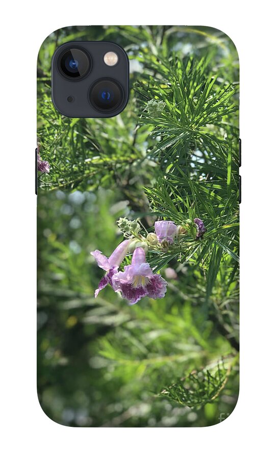 Desert Willow Whispers - Phone Case