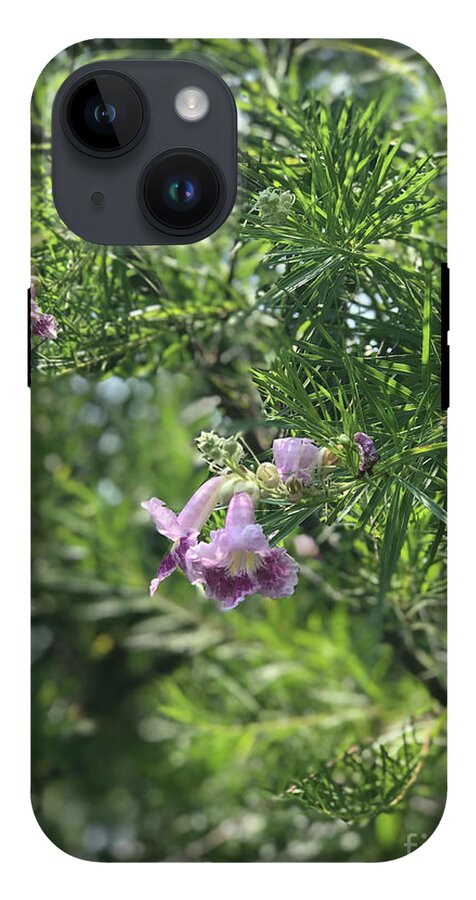 Desert Willow Whispers - Phone Case