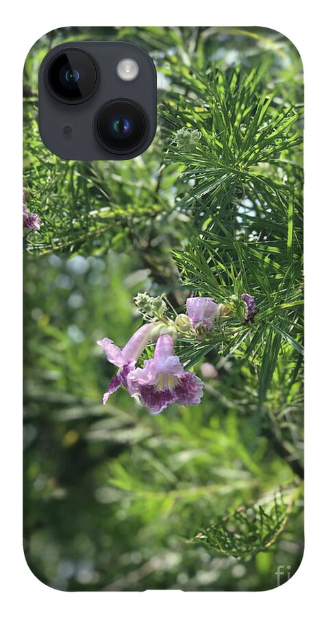 Desert Willow Whispers - Phone Case