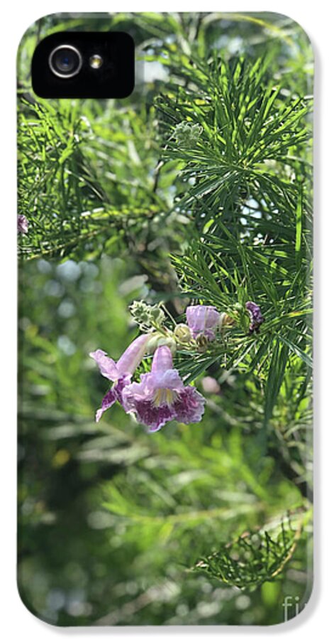 Desert Willow Whispers - Phone Case