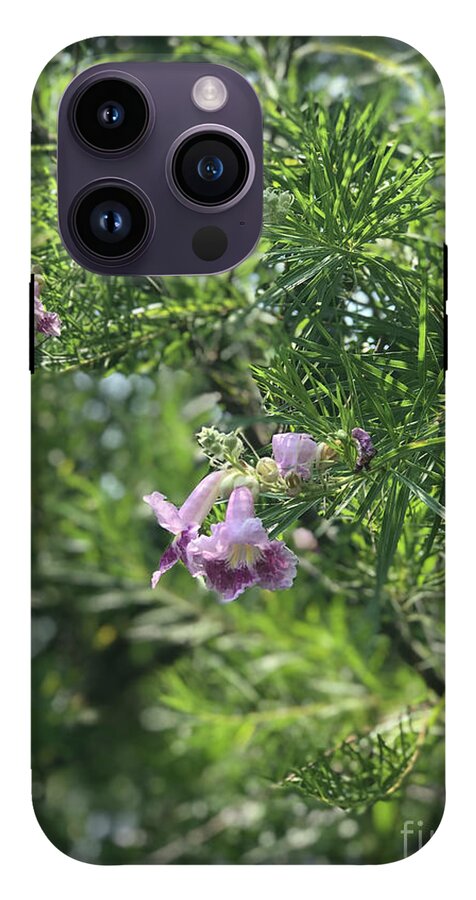 Desert Willow Whispers - Phone Case