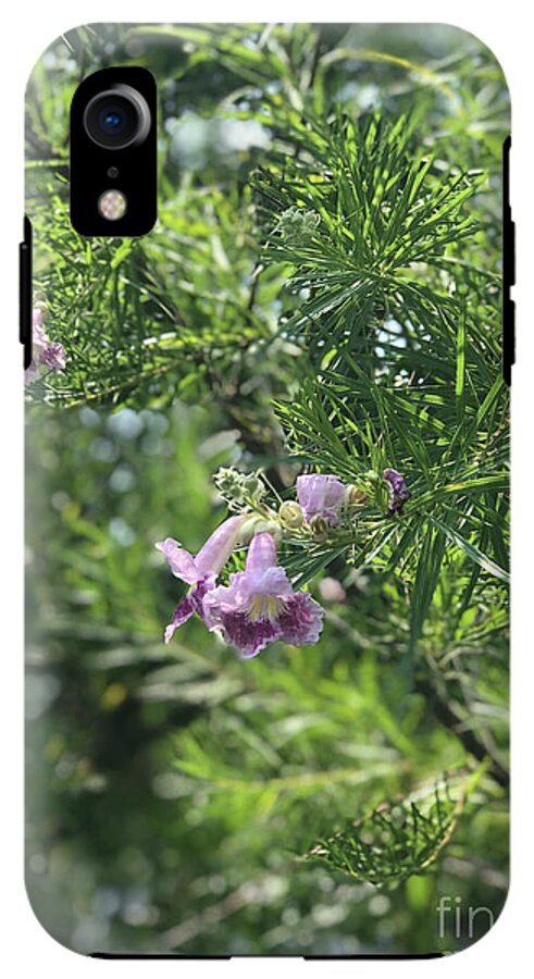 Desert Willow Whispers - Phone Case