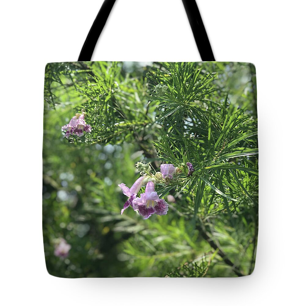 Desert Willow Whispers - Tote Bag