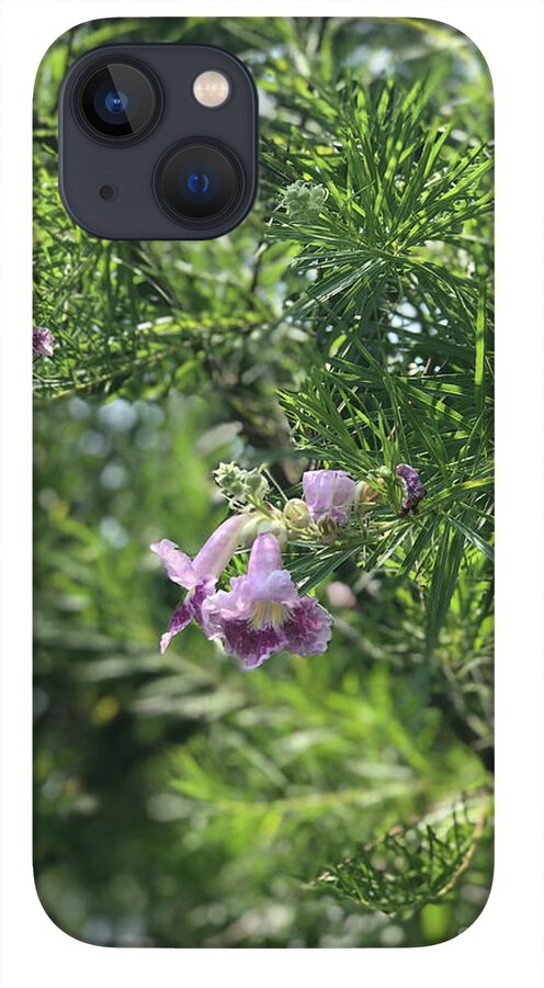 Desert Willow Whispers - Phone Case