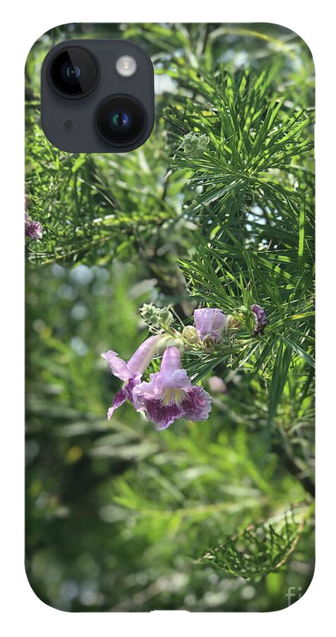 Desert Willow Whispers - Phone Case