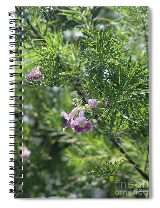 Desert Willow Whispers - Spiral Notebook