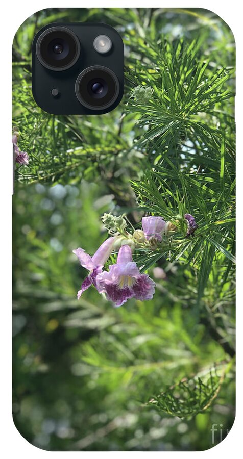 Desert Willow Whispers - Phone Case