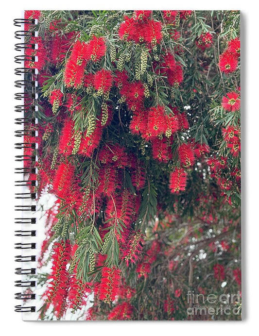 Nature's Fluffy Fireworks - Spiral Notebook