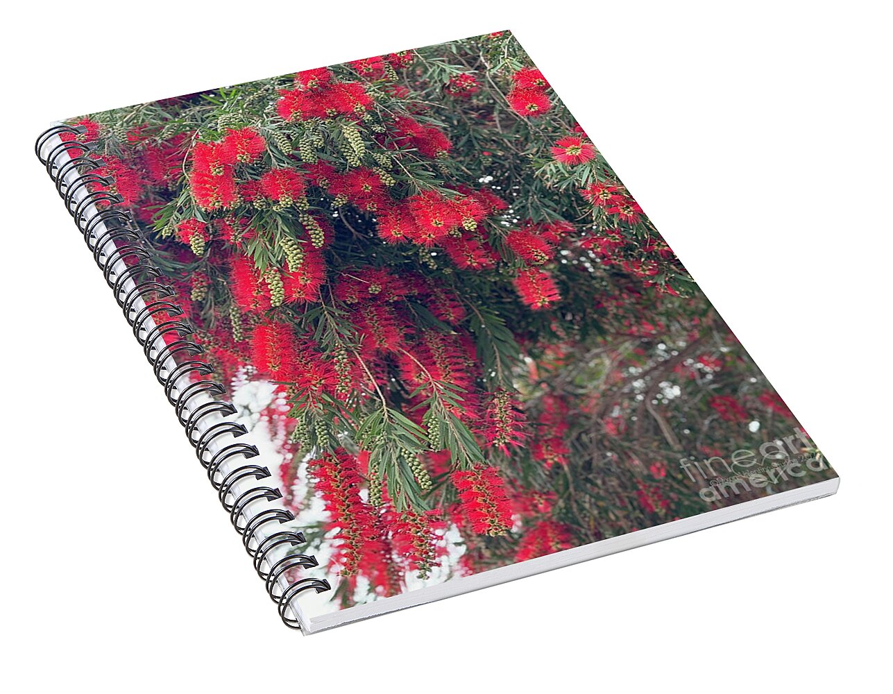 Nature's Fluffy Fireworks - Spiral Notebook