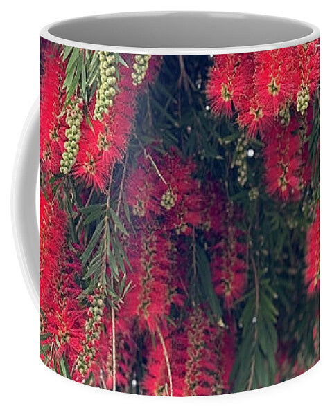 Nature's Fluffy Fireworks - Mug