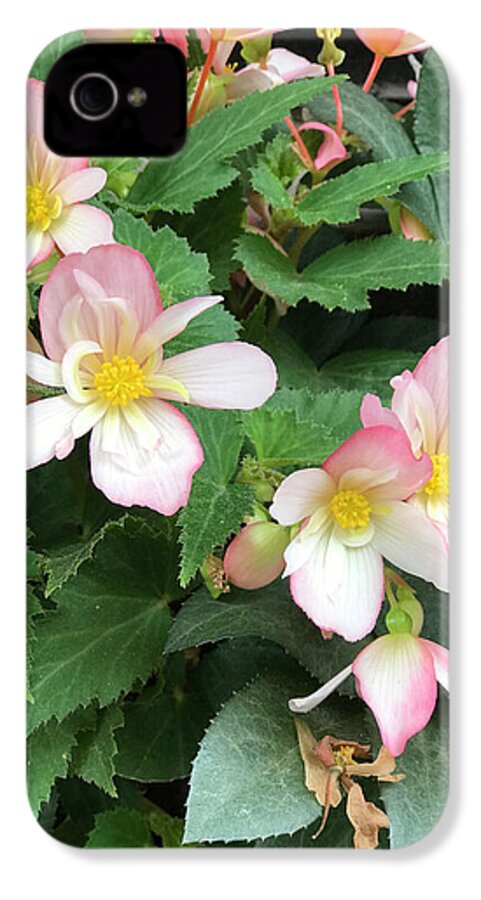 Pink Petal Cascade - Phone Case