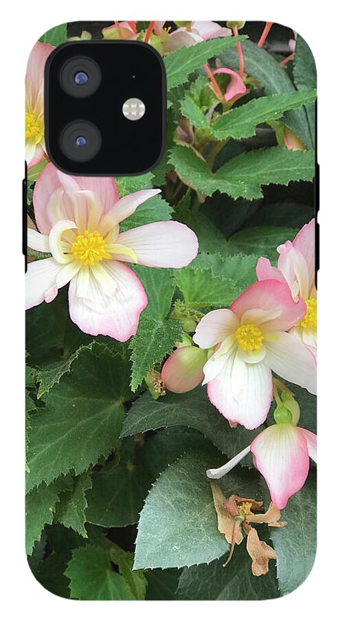 Pink Petal Cascade - Phone Case