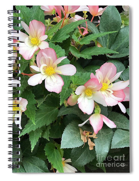 Pink Petal Cascade - Spiral Notebook