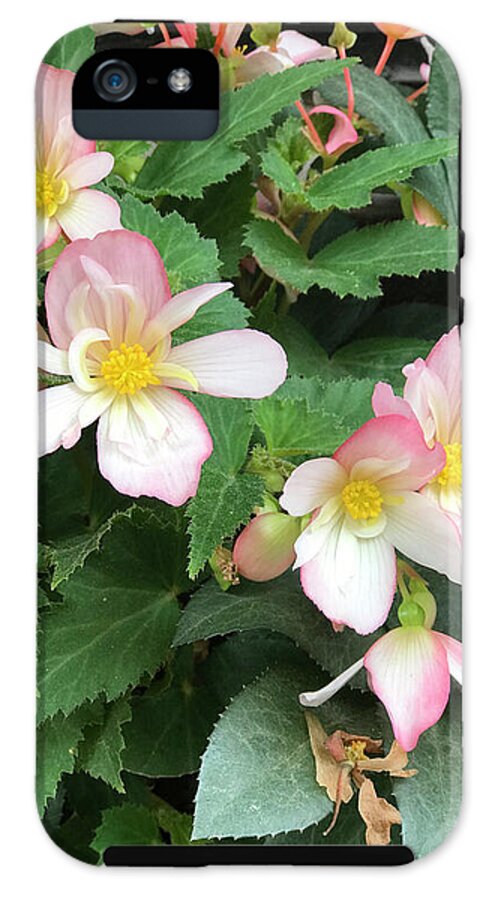 Pink Petal Cascade - Phone Case