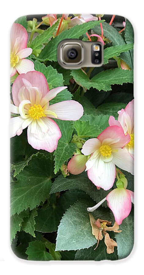 Pink Petal Cascade - Phone Case