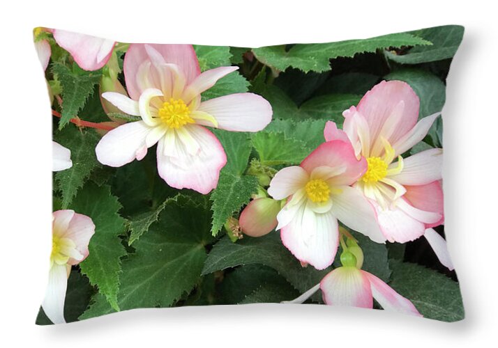 Pink Petal Cascade - Throw Pillow