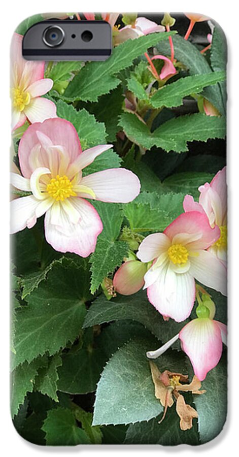 Pink Petal Cascade - Phone Case