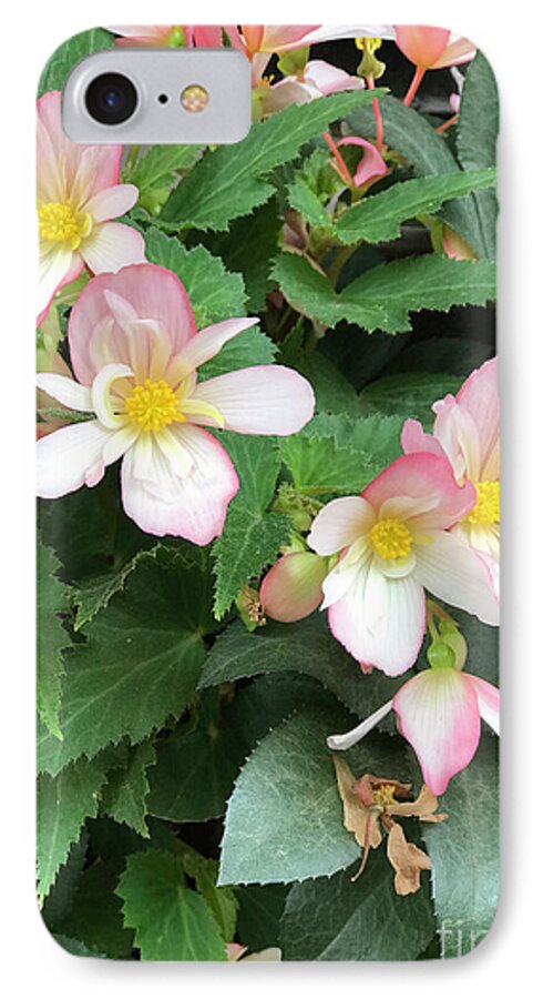 Pink Petal Cascade - Phone Case