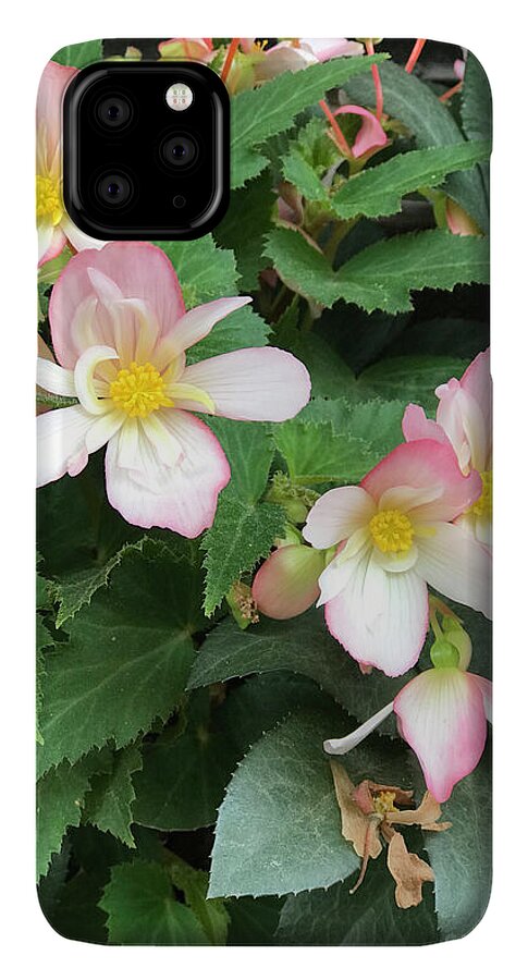 Pink Petal Cascade - Phone Case