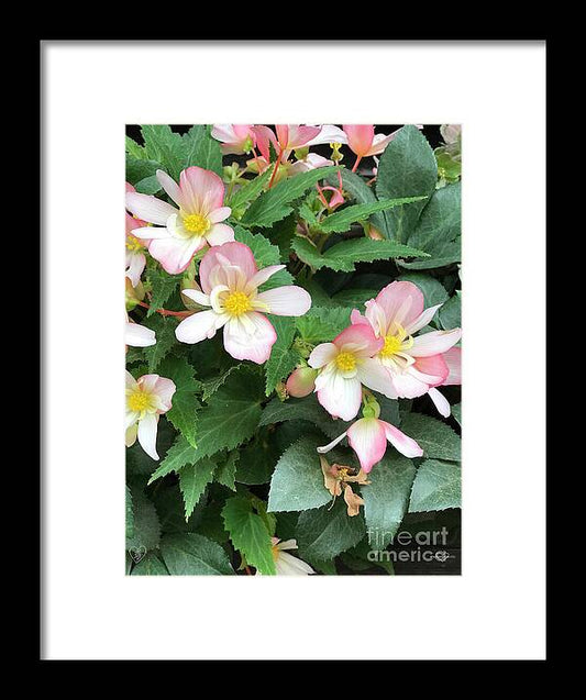 Pink Petal Cascade - Framed Print