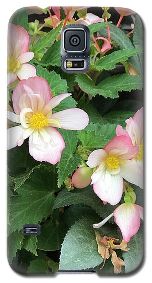 Pink Petal Cascade - Phone Case