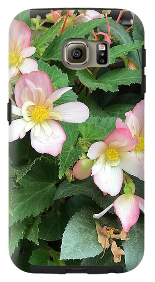 Pink Petal Cascade - Phone Case