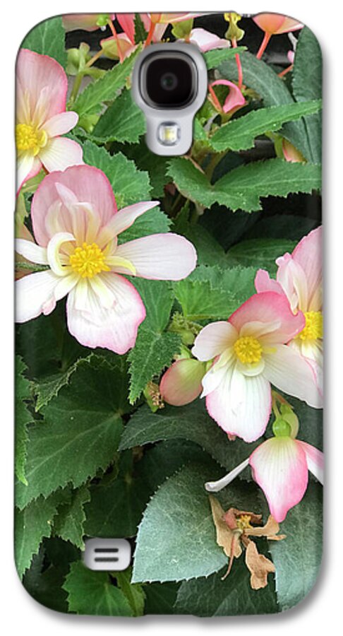 Pink Petal Cascade - Phone Case