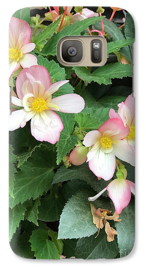 Pink Petal Cascade - Phone Case