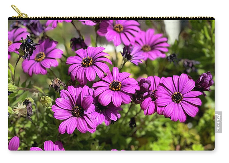 Purple Petal Symphony - Zip Pouch