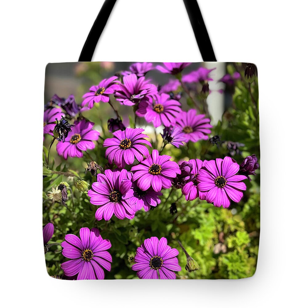 Purple Petal Symphony - Tote Bag