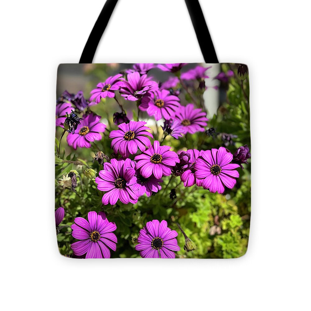 Purple Petal Symphony - Tote Bag