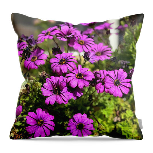 Purple Petal Symphony - Throw Pillow