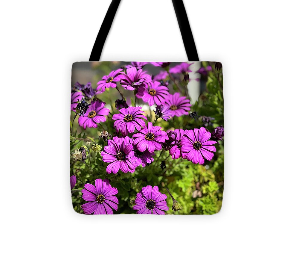 Purple Petal Symphony - Tote Bag