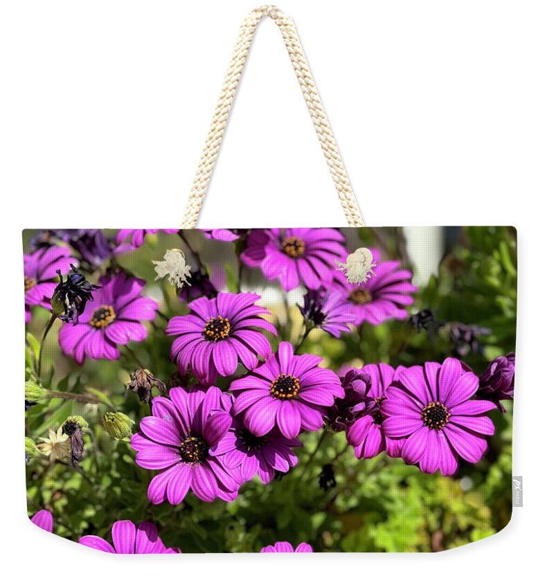 Purple Petal Symphony - Weekender Tote Bag