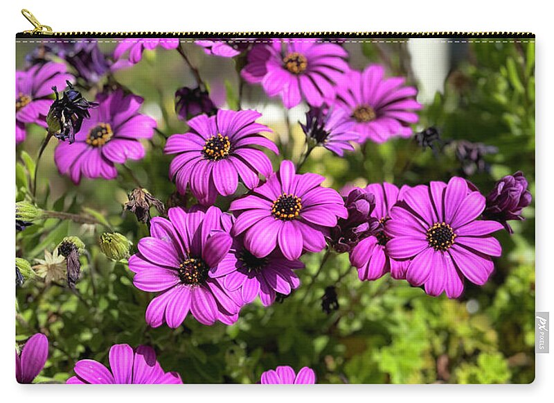 Purple Petal Symphony - Zip Pouch