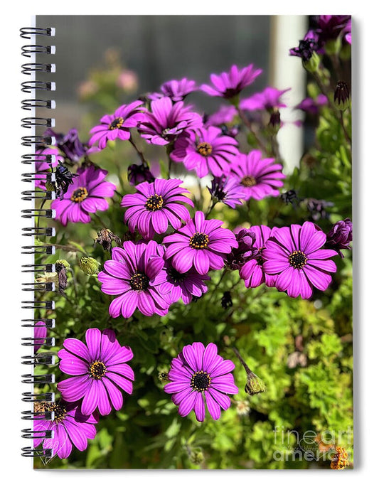 Purple Petal Symphony - Spiral Notebook