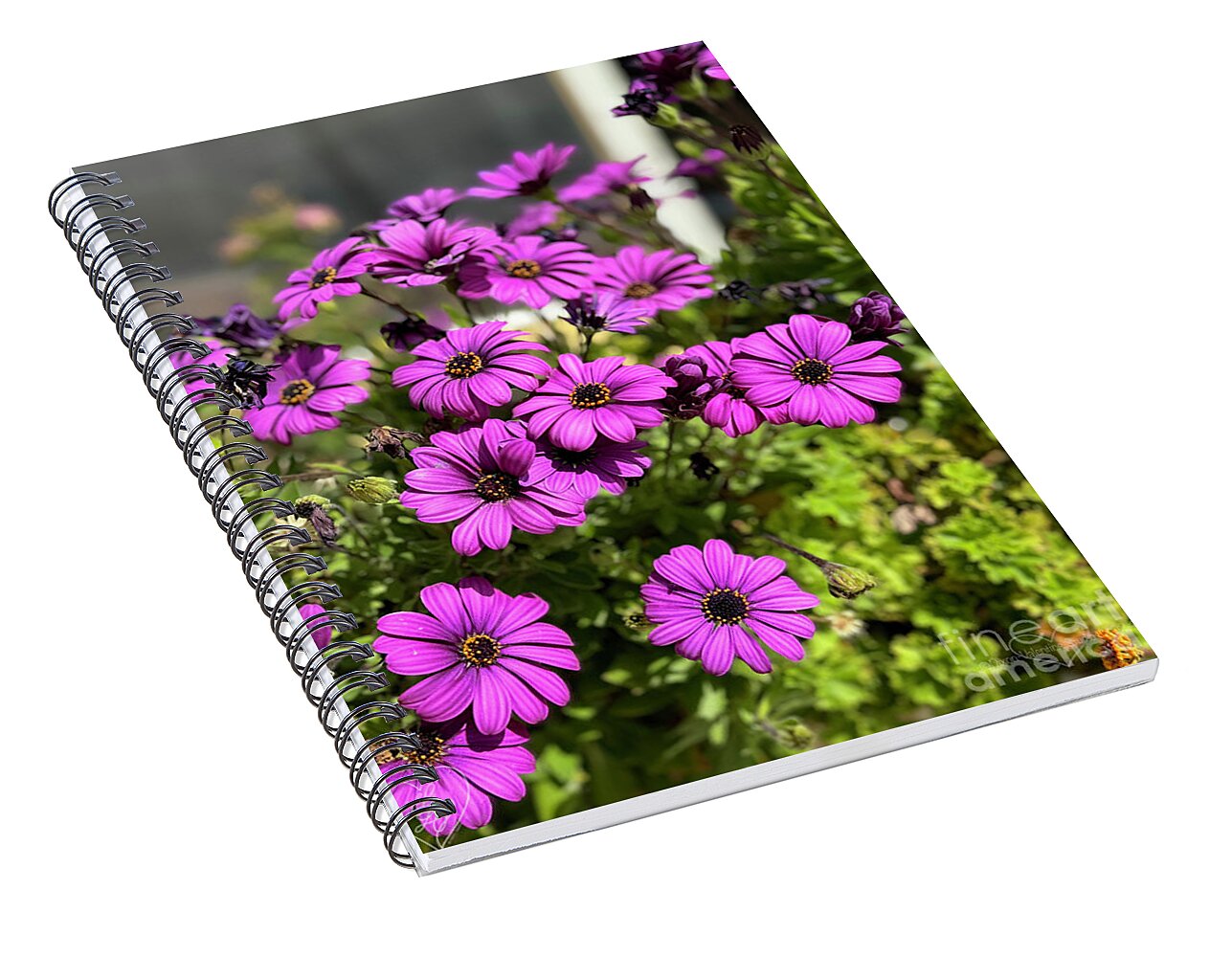 Purple Petal Symphony - Spiral Notebook